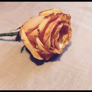 Meet your Posher, Belkees